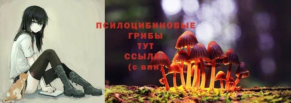 кокс Абинск