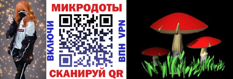 Псилоцибиновые грибы GOLDEN TEACHER  Мостовской 